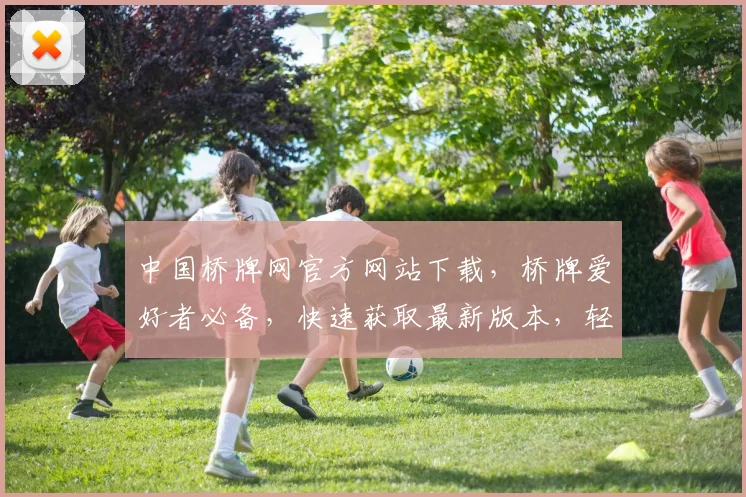 中国桥牌网官方网站下载，桥牌爱好者必备，快速获取最新版本，轻松体验