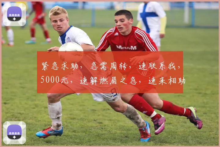 紧急求助，急需周转，速联系我，5000元，速解燃眉之急，速来相助，急用钱，速来