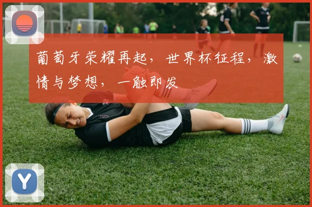 葡萄牙荣耀再起，世界杯征程，激情与梦想，一触即发