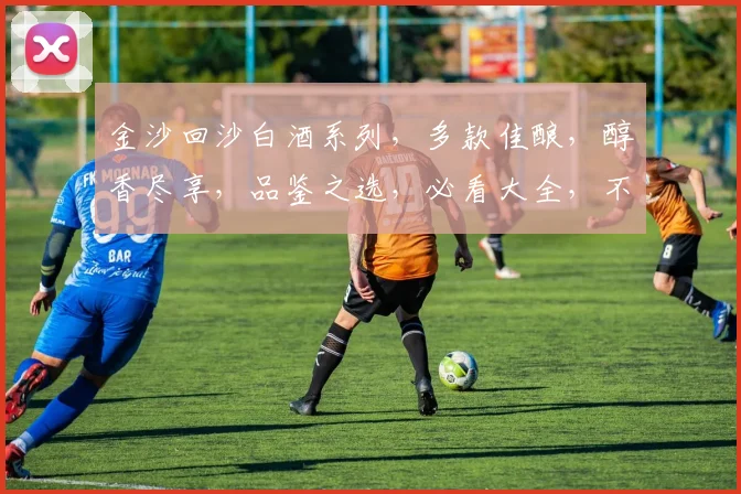 金沙回沙白酒系列，多款佳酿，醇香尽享，品鉴之选，必看大全，不容错过，